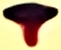gopher nose